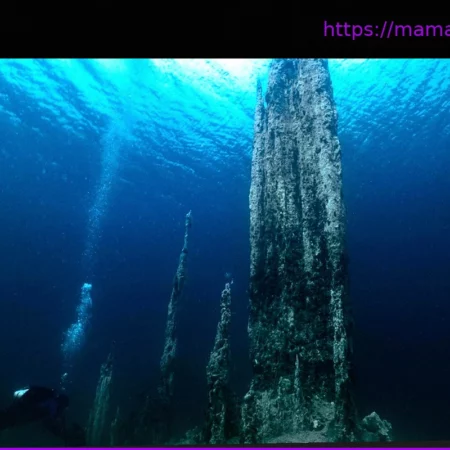 Гренландия: Тайна белых гигантов на дне моря