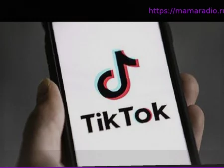 Муниципальные выборы 2026: как предвыборная борьба усиливается в социальных сетях, особенно в TikTok