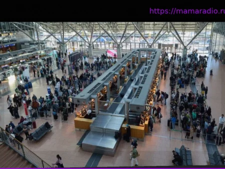 Авиакомпания несет ответственность за длинные очереди: Пассажирам не нужно толкаться при регистрации