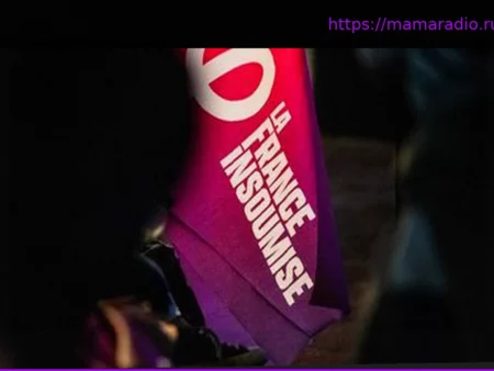 Муниципальные выборы в Страсбурге: задержан подозреваемый по делу об угрозах убийством кандидату от партии LFI