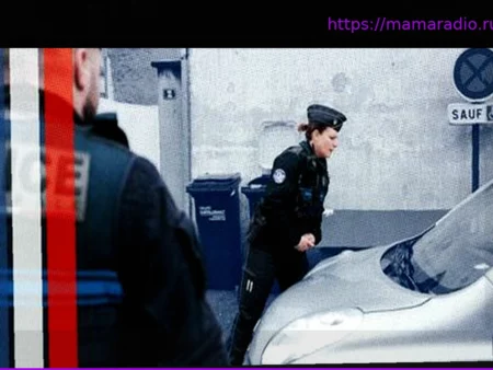 «Шательро — это ведь не Чикаго»: перед муниципальными выборами вопрос безопасности овладевает умами даже в Пуату