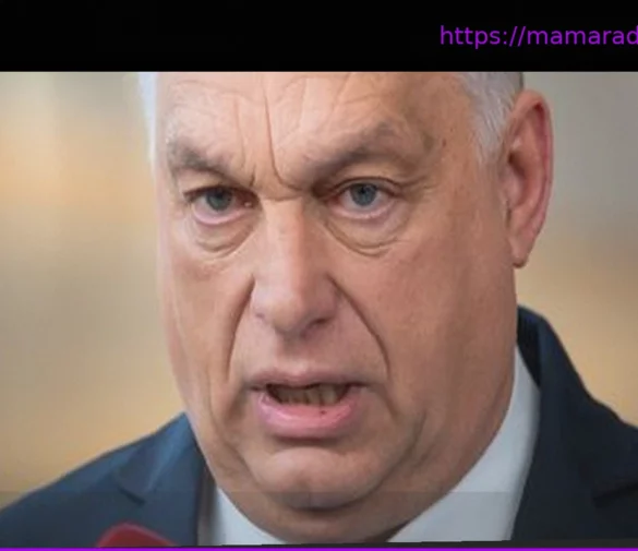 Венгрия сокращает поставки газа Украине до восстановления нефтепровода «Дружба»