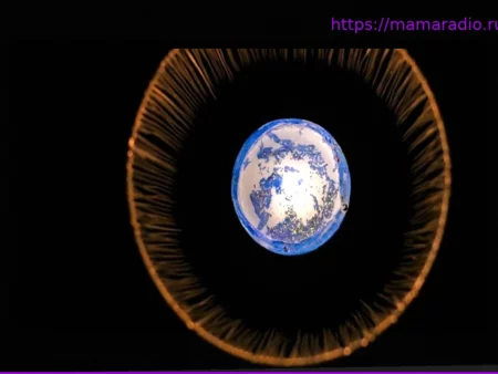 Всемирная акция по защите климата: Свет выключен для Земли: «Час Земли» стартует в Новой Зеландии