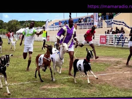 Тобаго: Козьи Бега Вместо Поиска Яиц – Необычная Пасха на Карибах