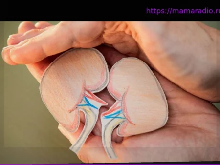 Почки — «очистная станция» организма: что мы можем сделать для их здоровья