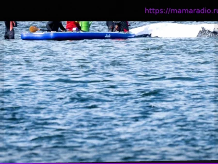 История с китом в Германии: местный резонанс и мировой контекст