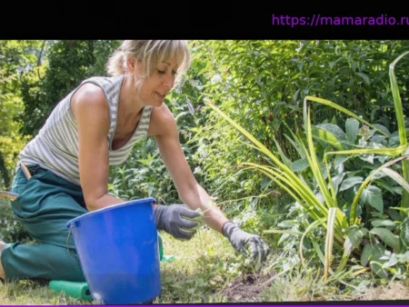 Как избежать перегрузки: 4 совета для защиты спины при работе в саду