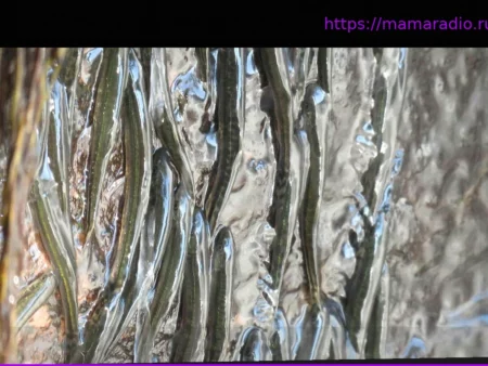 Центральная Африка: Как миниатюрные рыбки покоряют 15-метровый водопад