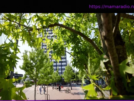 Значение деревьев для климата и сохранения видов