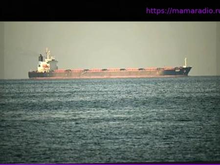 Война на Ближнем Востоке: Иранские стражи революции заявляют, что нанесли удар по связанному с Израилем судну в Ормузском проливе