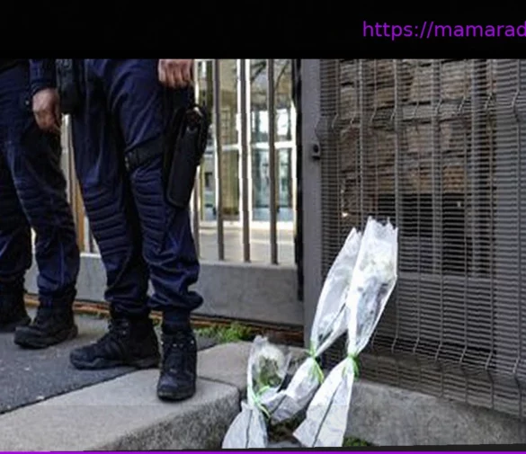 Марш в Гренобле: Остановить насилие после серии убийств