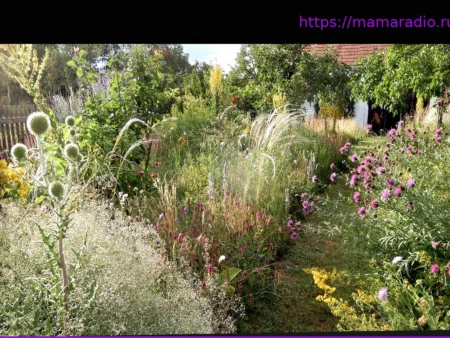 Симбиоз в саду: невидимое взаимодействие почвы, растений и животных