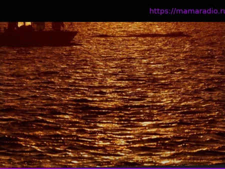 Киты у побережья: кит продолжает находиться недалеко от Висмара — желоб должен быть готов сегодня