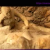 Интервью: Лики катастрофы: Что гипсовые слепки из Помпей рассказывают сегодня