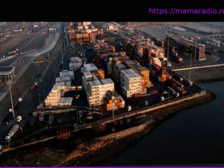 Тысячи коробок бананов и упаковок: почти пять тонн кокаина изъяты в порту под Лондоном