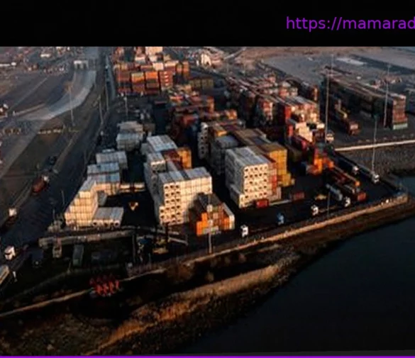 Тысячи коробок бананов и упаковок: почти пять тонн кокаина изъяты в порту под Лондоном