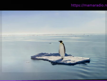 Тревожный сигнал из Антарктики: Императорские пингвины теперь считаются сильно вымирающим видом