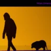 Исследование: Владельцы собак часто не замечают боль у своих питомцев