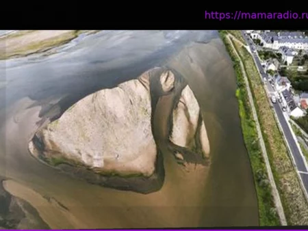 Океаны, биоразнообразие, опустынивание… но не климат: основные темы встречи министров окружающей среды G7 во Франции