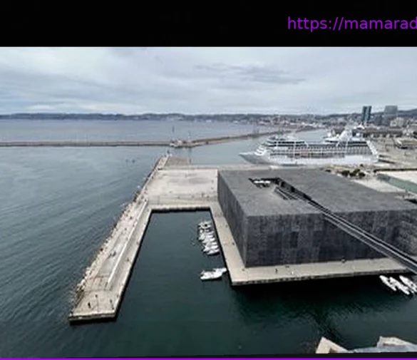 Президент музея Mucem в Марселе отрицает обвинения в моральном и сексуальном домогательстве
