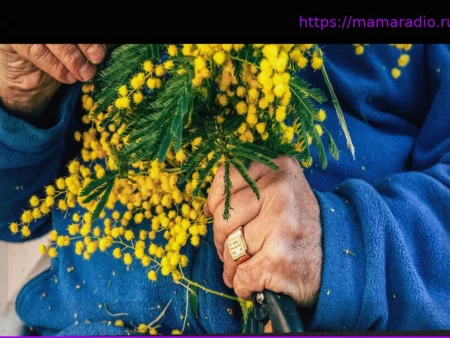 Проблема мимозы в Провансе: цветение — счастье или опасность?