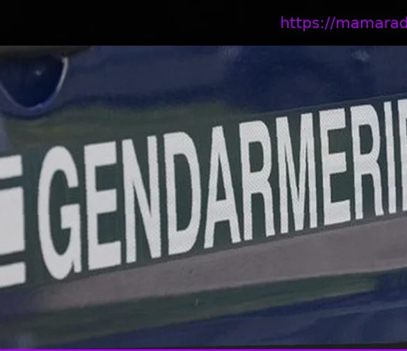 Ученица лицея Атлантической Луары получила ножевые ранения, подозреваемый задержан