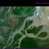 Amazonas: Как водоросли становятся хищниками у устья реки