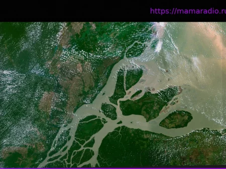 Amazonas: Как водоросли становятся хищниками у устья реки