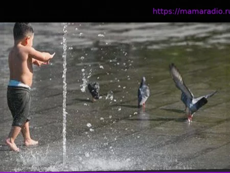 Canicule : «Des milliers d’oiseaux» retrouvés au sol, «une situation d’urgence», alerte le directeur général de la LPO