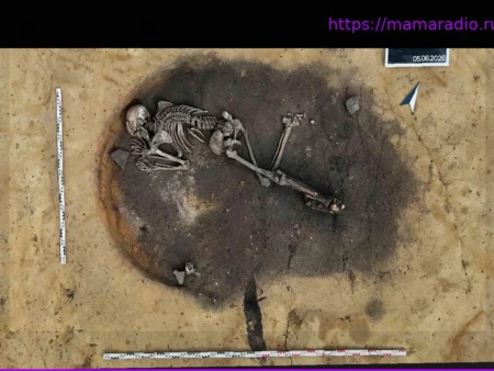 Archäologisches Rätsel: Tödliche Schädelverletzung: Wer ist der Mann in der Ofengrube?