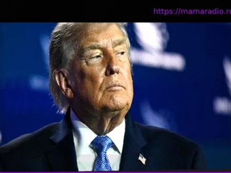 Трамп угрожает 100% пошлинами европейским странам из-за налога на цифровые услуги