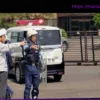 В Японии разыскивается «исключительно умный» медведь, ранивший четверых