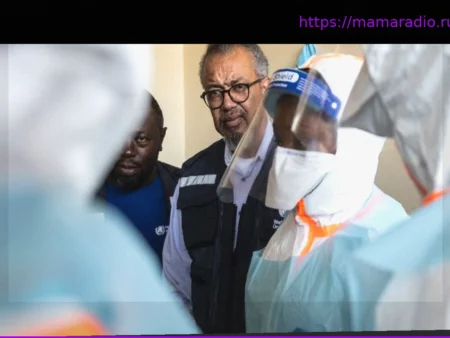 Krankheiten: Ebola-Fall in Frankreich: WHO-Chef warnt vor Panik