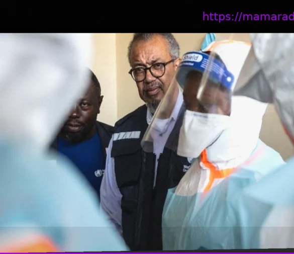 Krankheiten: Ebola-Fall in Frankreich: WHO-Chef warnt vor Panik