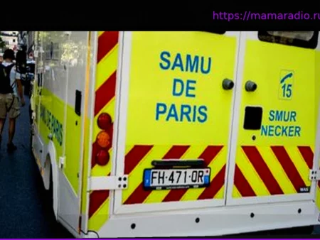 Canicule : le Samu a recensé 109 morts vendredi à Paris, contre sept habituellement à la même période