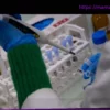 Дело Кристиана Негра: суд рассмотрит ответственность государства за действия высокопоставленного чиновника