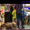 Stillstand auf der Schiene: Bundesweiter Bahn-Ausfall: Welche Entschädigungen gibt es?