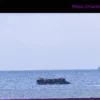 Трагедия в Ла-Манше: одна жертва при попытке нелегального пересечения