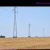 Жара: 50 000 домов остались без электричества, Enedis активирует «силы вмешательства»