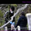 Хантавирус: Аргентина расширяет поиски на новую провинцию в связи с потенциальными грызунами-переносчиками