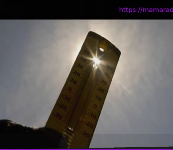 France: Ожидается новая волна сильной жары с температурой до 38°C